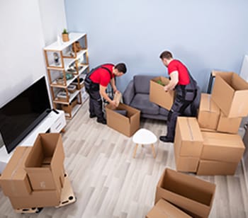 Putting Products in Cardboard Boxes — Removalist in Brisbane, QLD