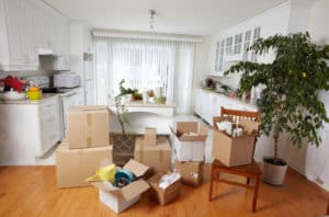 Moving Boxes in New House — Removalist in Brisbane, QLD