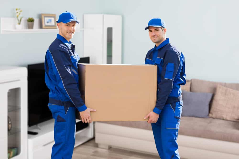 Movers Carrying A Cardboard Box
